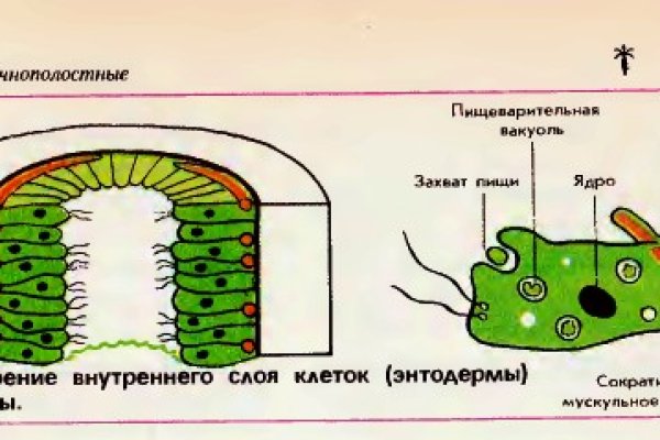 Мега даркнет телеграм